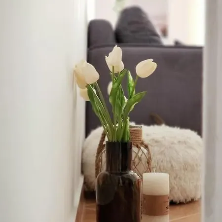 Boho *
