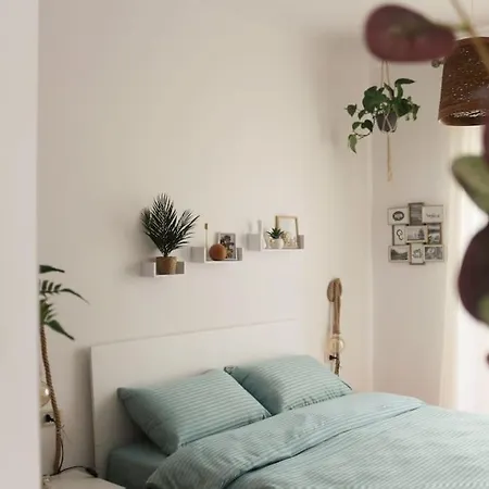 Boho